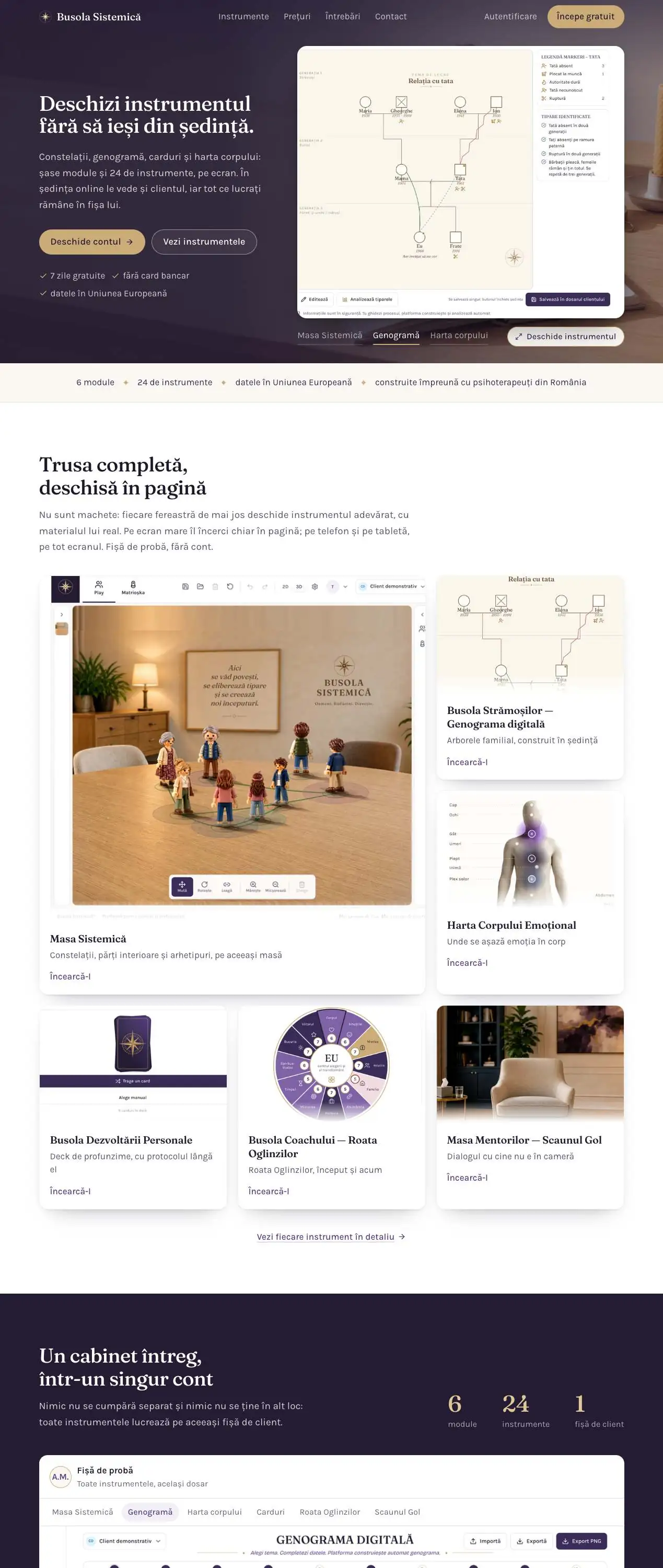 Site-ul Busola Sistemică